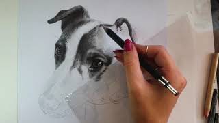 How to Draw a Pet Portrait in Graphite  Tips Tricks and Tools [upl. by Aggarwal]