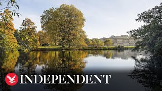 Buckingham Palace gardens open to public for first time [upl. by Faria754]