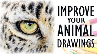 Tips for Drawing REALISTIC ANIMALS  Get Better with Colored Pencil [upl. by Lehcir]