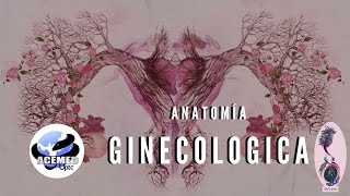 ANATOMÍA GINECOLÓGICA ACEMED UPTC [upl. by Dulcea366]