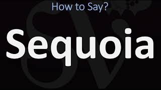 How to Pronounce Sequoia CORRECTLY [upl. by Nyladnarb]