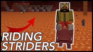 How To Ride Striders In Minecraft [upl. by Aisylla]