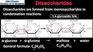 B4 Disaccharides SL [upl. by Omrelliug507]