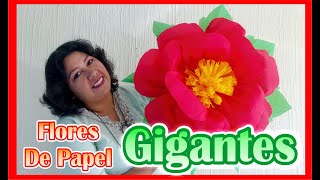 DIY  Como Hacer Flores De Papel Crepe  GIGANTES [upl. by Nnaeerb]