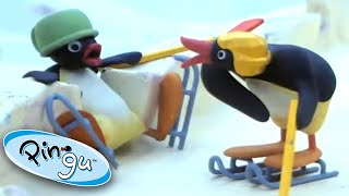 Pingu and his Friends Play Ice Hockey  Pingu Official  Cartoons for Kids [upl. by Hadnama]