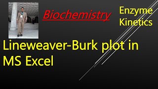 Lineweaver Burk Plot in MS Excel [upl. by Einre435]