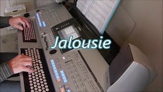 Jalousie  Organ amp keyboard chromatic [upl. by Idelle512]