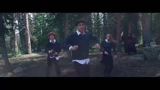 FUNK HARRY POTTER  CLIPE [upl. by Popelka975]