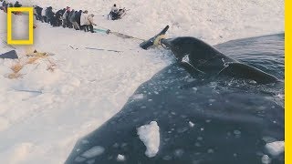 Experience a Traditional Whale Hunt in Northern Alaska  Short Film Showcase [upl. by Ahsropal709]