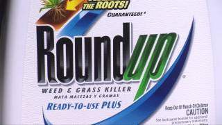 RoundUp Weed And Grass Killer ReadyToUse Plus [upl. by Nahtnahoj475]