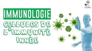 Immunologie  les Cellules de lImmunité Innée [upl. by Arnon616]