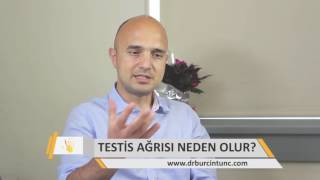 Testis Ağrısı Neden Olur [upl. by Abbey]