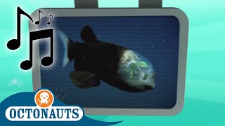 Octonauts  Spook Fish  Cartoons for Kids  Creature Reports [upl. by Euf97]