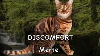 DISCOMFORT meme  Leopardstar Warriors [upl. by Fortunia727]