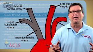 Fibrinolytic Therapy Checklist [upl. by Lahcar]