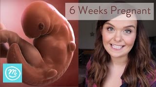 6 Weeks Pregnant What You Need To Know  Channel Mum [upl. by Brandwein]