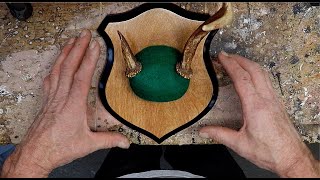 DIY How To Make an Antler Plaque [upl. by Nilorac]