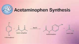 Acetaminophen Synthesis Mechanism  Organic Chemistry [upl. by Matilde103]