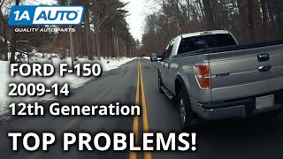 Top 5 Problems Ford F150 Truck 12th Generation 200914 [upl. by Astred]