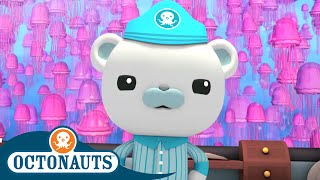 Octonauts  Jellyfish Adventure  Cartoons for Kids  Underwater Sea Education [upl. by Hafeetal828]