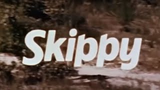 Skippy The Bush Kangaroo Theme Tune  196769  Eric Jupp [upl. by Aven]