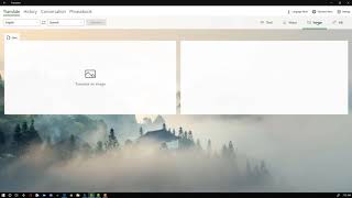 Microsoft Translate Windows 10 App Overview [upl. by Rede]