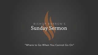 Where to Go When You Cannot Go On — Bishop Barron’s Sunday Sermon [upl. by Ihcur]