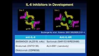 IL6 Targeting [upl. by Kamerman]