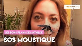 Comment éloigner les moustiques [upl. by Hinckley256]