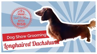 Dog Show Grooming How to Groom a Longhaired Dachshund [upl. by Mclain]