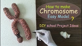 Making Chromosome Model  Styrofoam Carving [upl. by Eak]