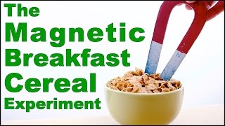 Cool Science Experiment 11 Magnetic Breakfast Cereal [upl. by Nnaitsirk]