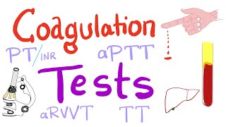 Coagulation Tests  PT aPTT TT Fibrinogen Mixing Studies [upl. by Amargo]