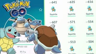 Pokemon GO  HIGH CP SQUIRTLE EVOLUTION TO BLASTOISE Squirtle Catching MADNESS  Blastoise OP [upl. by Aurelia283]