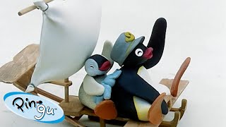 Pingu Around Town  Pingu  Official Channel  Cartoons For Kids [upl. by Pattani]