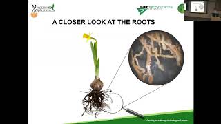 Jozsef Racsko The use of mycorrhizal fungi in horticulture [upl. by Anej]