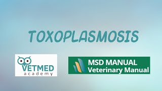 Toxoplasmosis [upl. by Abott]