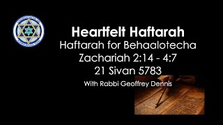 Heartfelt Haftarah  Behaalotecha [upl. by Soren]