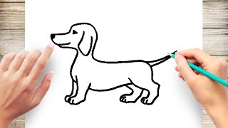 How to Draw A Dachshund Dog Step by Step [upl. by Garcon]