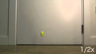 Bouncing Ball Reference [upl. by Dub]