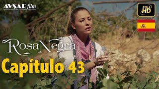 Rosa Negra  Capítulo 43 HD En Español [upl. by Dedra360]