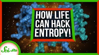 How Cells Hack Entropy to Live [upl. by Harrie]