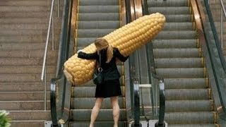 Funniest Escalator Fails February 2013 [upl. by Oirad]