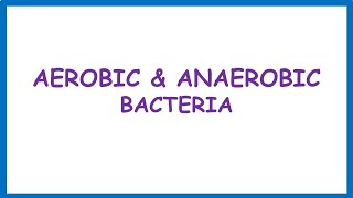 Aerobic amp Anaerobic Bacteria Lecture [upl. by Ratha]