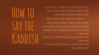 How to Say the Mourners Kaddish  The Jewish Prayer of Mourning [upl. by Nilrah254]