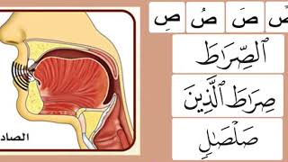 حرف الصاد تدريب على مخارج الحروف بصوت د أيمن سويد حفظه الله [upl. by Dierolf]