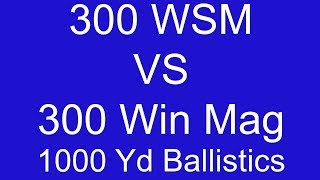 300 WSM vs 300 Win Mag 1000 Yard Ballistic comparison  Part 1 [upl. by Portwin]