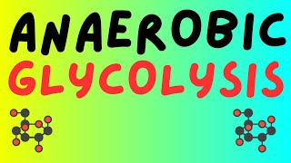 Anaerobic Glycolysis [upl. by Deery543]