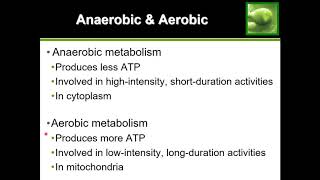 Anaerobic vs Aerobic Metabolism [upl. by Ylrehs]