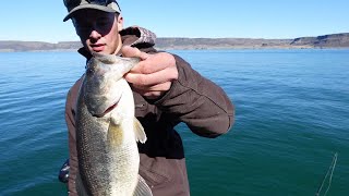 Banks Lake Bass Fishing 2021 [upl. by Galanti]